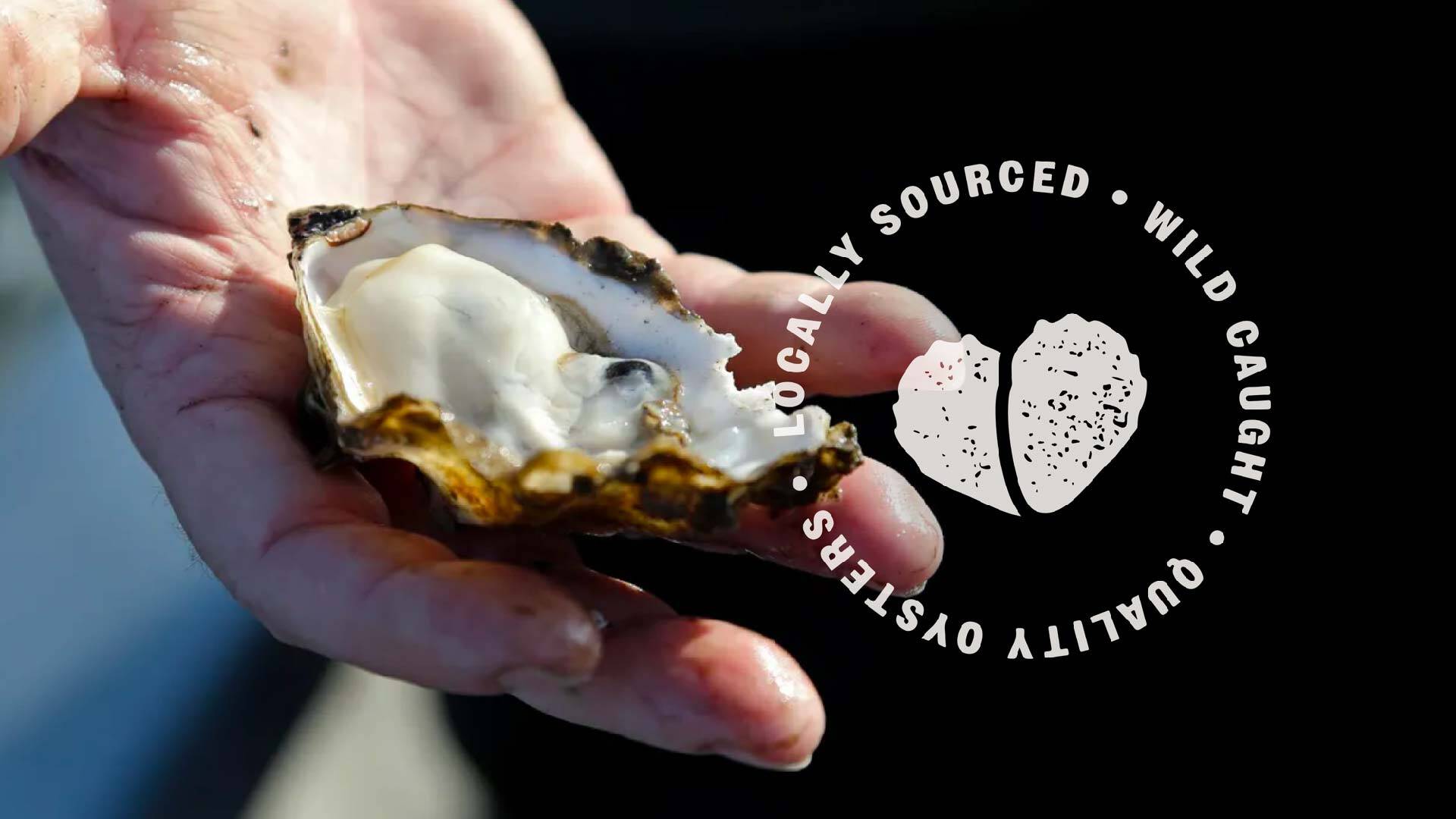 Lifestyle photograph of a person holding an open oyster with a graphic overlaid