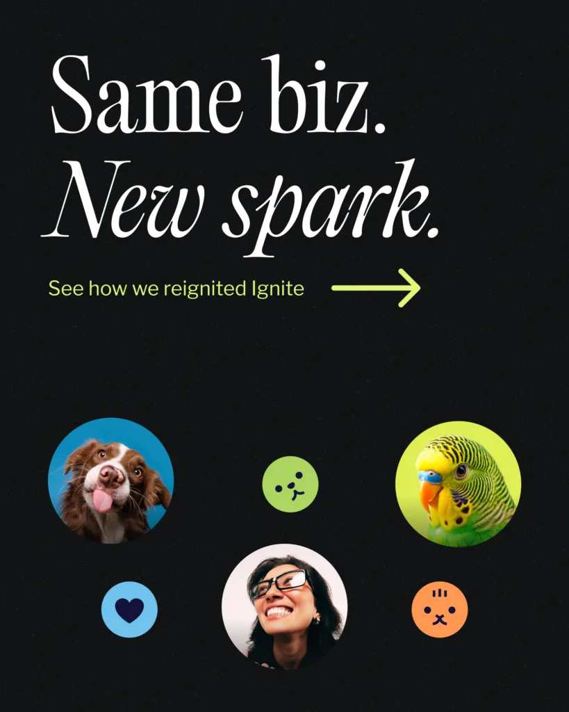 New ignite vet learning graphic "Same biz. New spark."